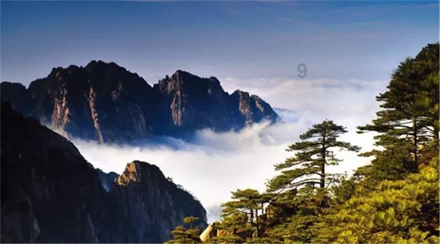 家常番茄鱼的做法有哪些呢?-专业问答平台,解决你的疑惑!