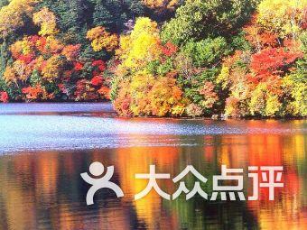 金莎和男友录综艺片酬1:9 分成?恋情被吐槽甚至劝分