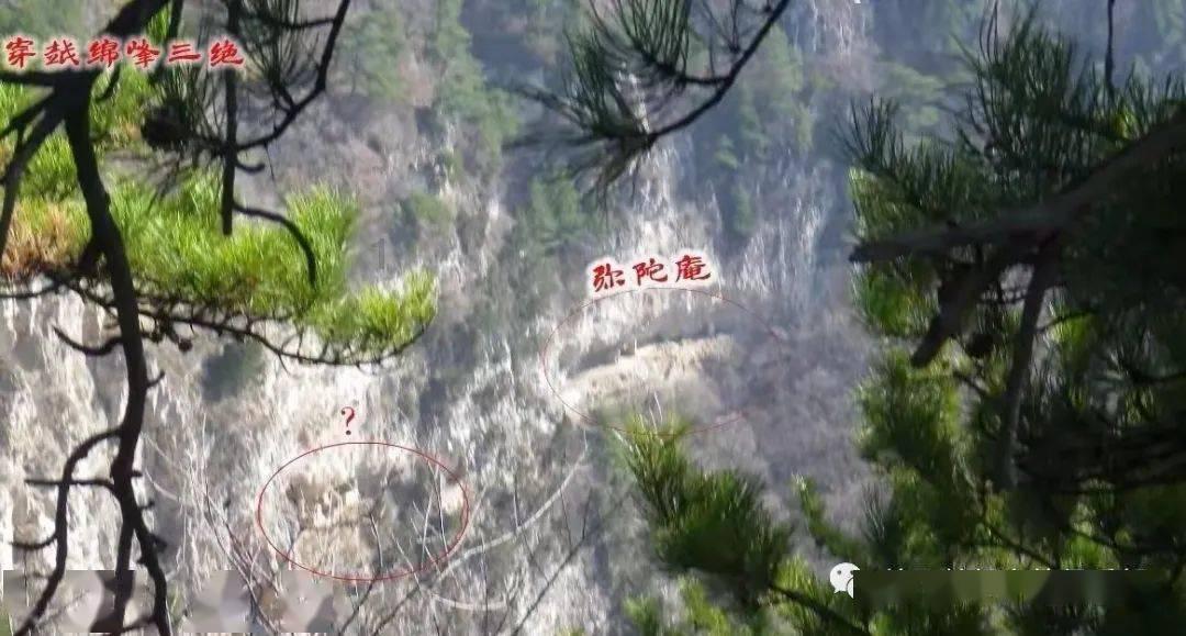 俄防长：障碍工事体系在挫败乌军反攻中起到关键作用