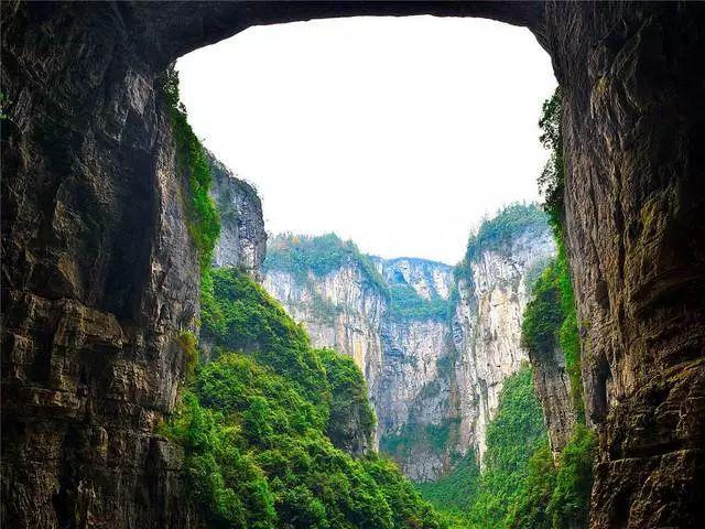 企鹅回城5之飞渡横木