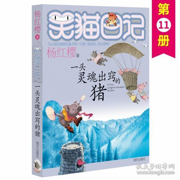 公主的舞会礼服