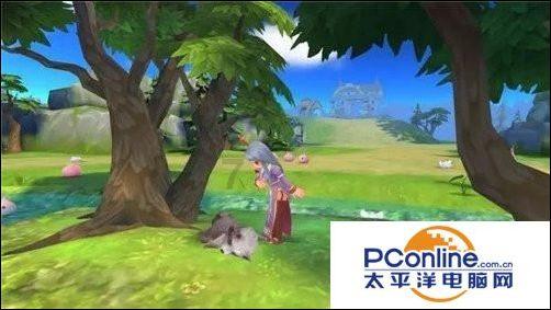 热带假日